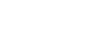 MegaVegas 500x500_white